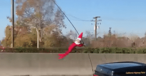 Have You Seen “Chippie” Hanging Out in Traffic?