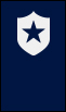 badge-star